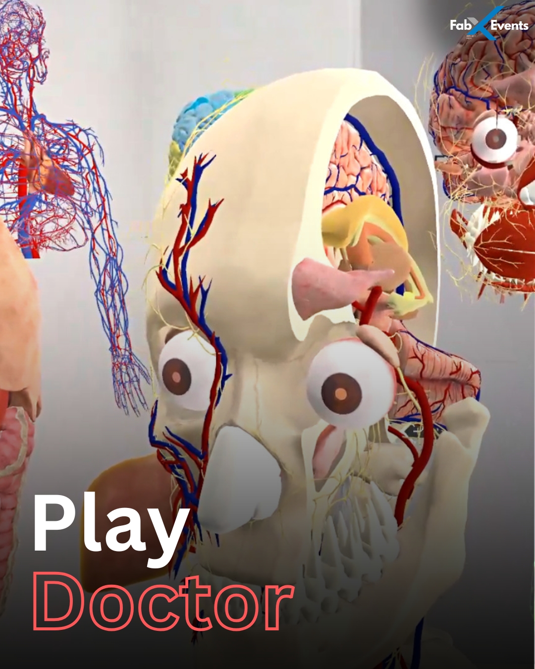 Medical Anatomy VR Class