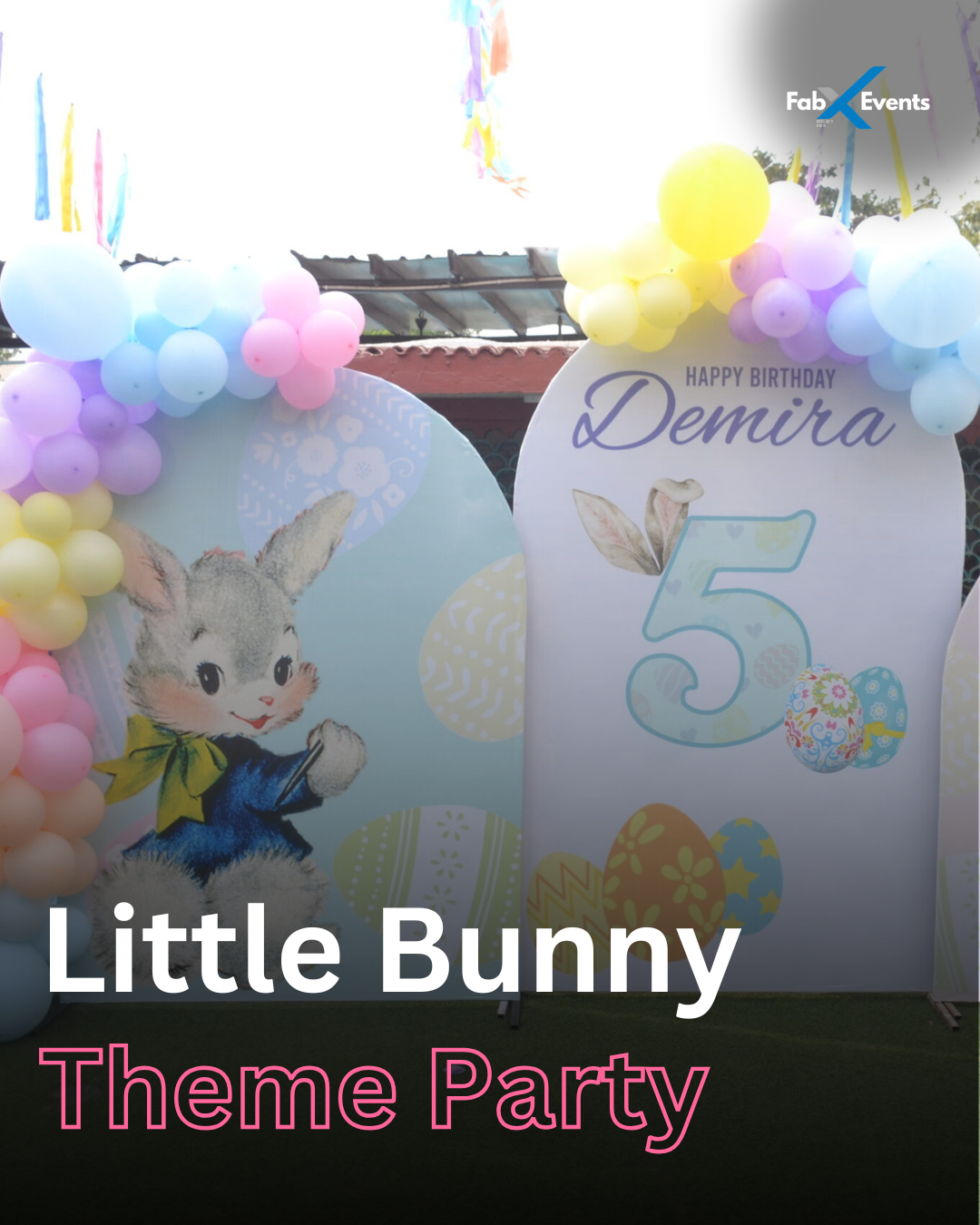 Cute Rabbit Theme Birthday Decorations & Planning