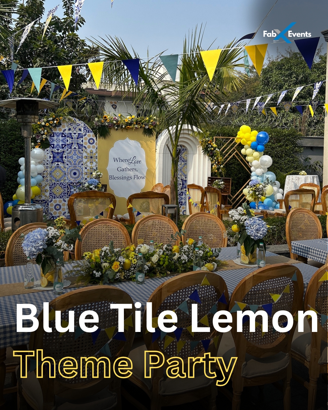 Mediterranean Lemon Theme Birthday Decorations