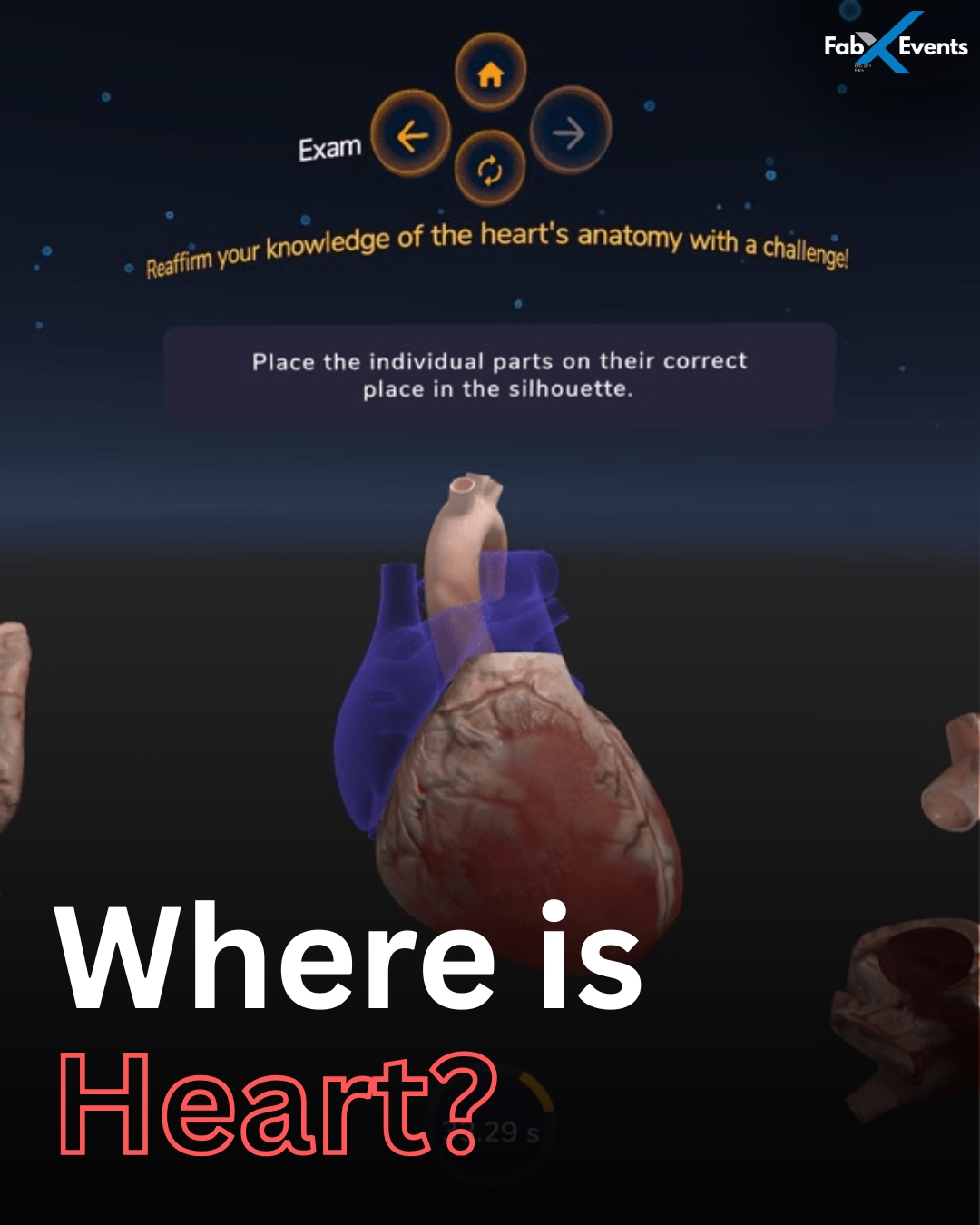 Bio Anatomy VR Class